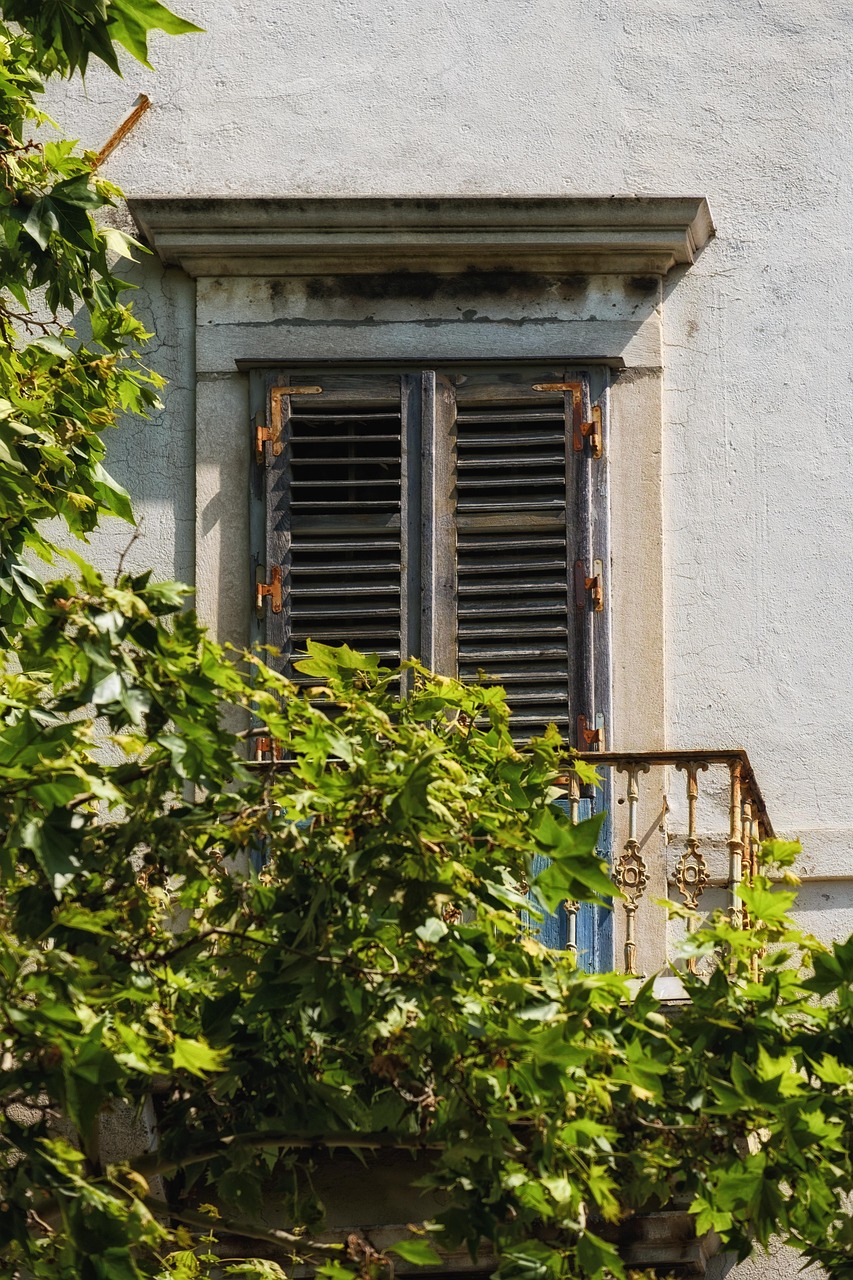 découvrez les différents types d'ouverture de fenêtres pour améliorer l'esthétique et la fonctionnalité de votre espace. apprenez à choisir le modèle idéal pour vos besoins en matière de ventilation et de luminosité.