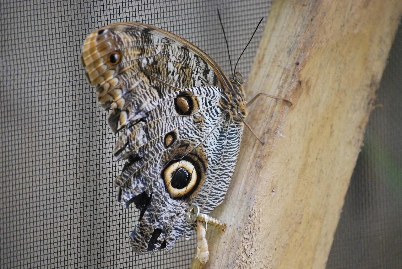 transformez votre garage en un espace utile et fonctionnel grâce à une conversion professionnelle. optimisez votre maison avec des solutions sur mesure adaptées à vos besoins.