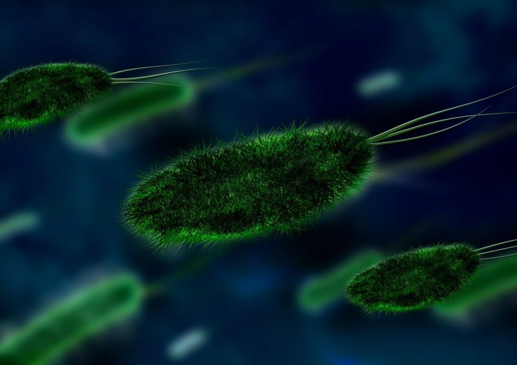 découvrez les différences entre les bactéries aérobies et anaérobies dans le traitement des eaux usées, leurs rôles spécifiques et leur impact sur l'efficacité du processus de purification.