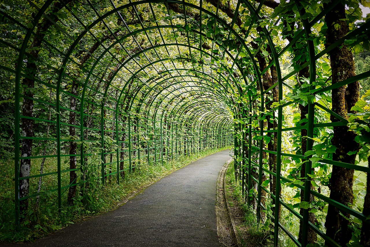 découvrez nos idées inspirantes pour créer des allées de jardin élégantes et fonctionnelles, parfaites pour sublimer votre extérieur.